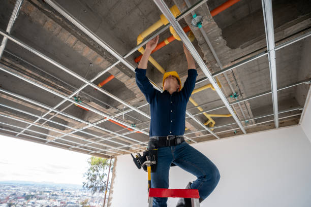 Best Leak Detection Services  in La Joya, TX