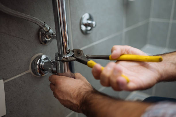 Best Shower Repair Services  in La Joya, TX